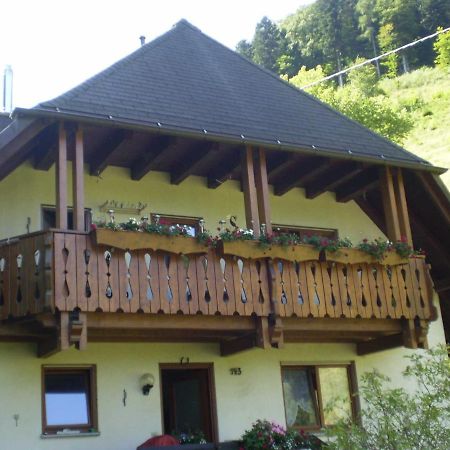 Haus Am Bach Leilighet Freiburg im Breisgau Eksteriør bilde
