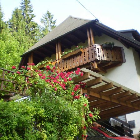 Haus Am Bach Leilighet Freiburg im Breisgau Eksteriør bilde