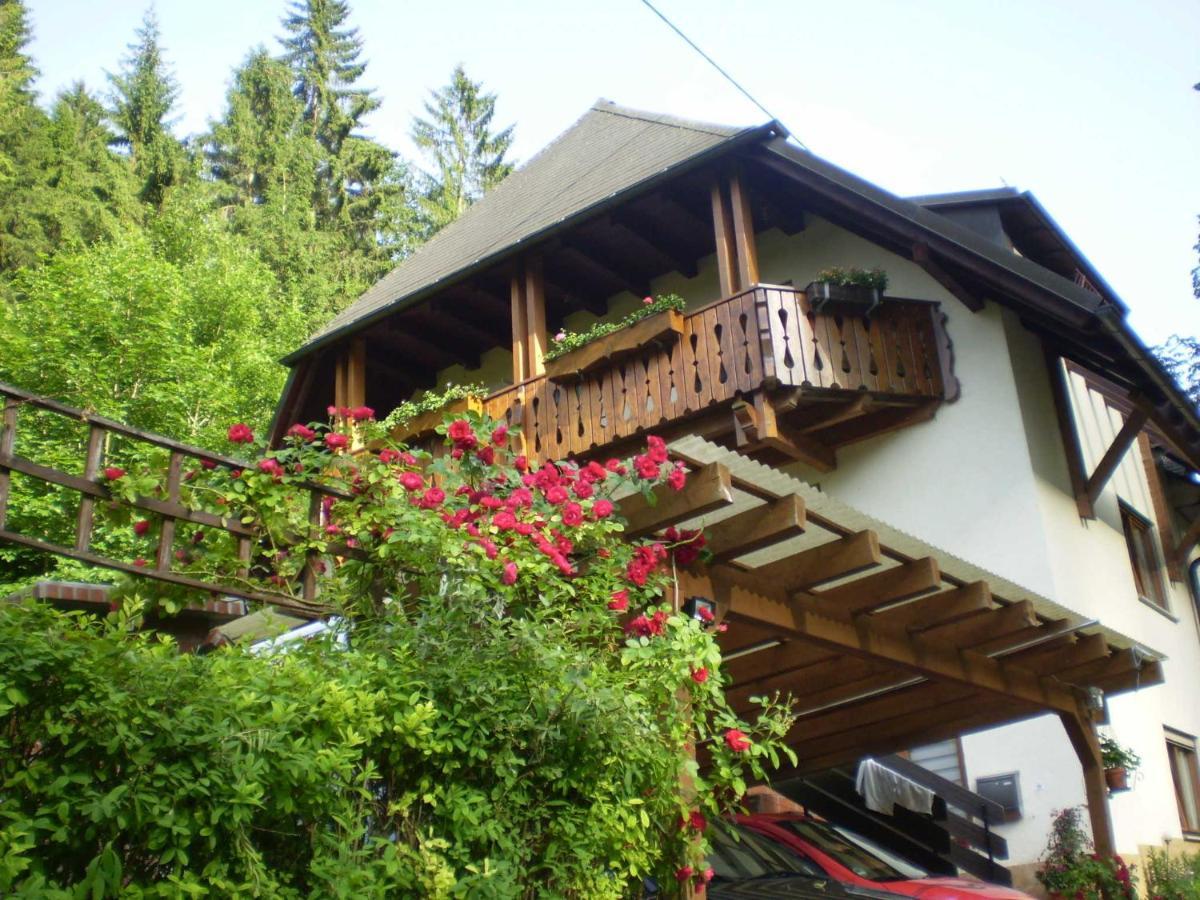 Haus Am Bach Leilighet Freiburg im Breisgau Eksteriør bilde
